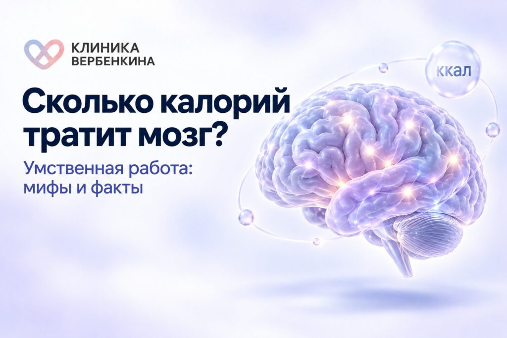 Сколько калорий тратит мозг при умственной работе: разбираем мифы