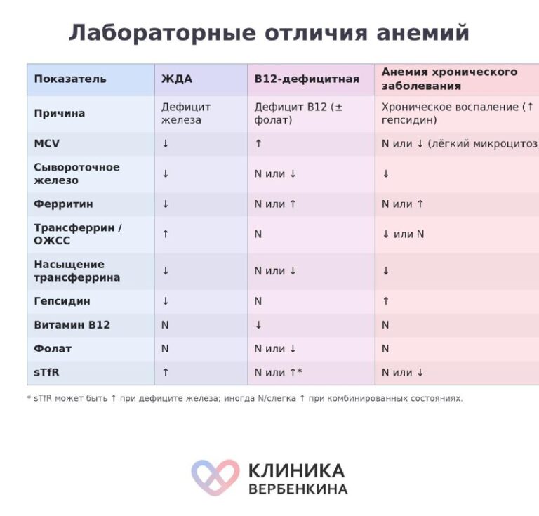 Как трактовать ферритин и сывороточное железо: разбираем нестандартные анализы