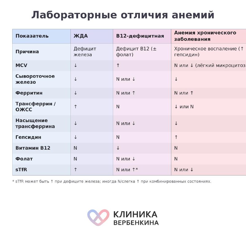 Как трактовать ферритин и сывороточное железо: разбираем нестандартные анализы