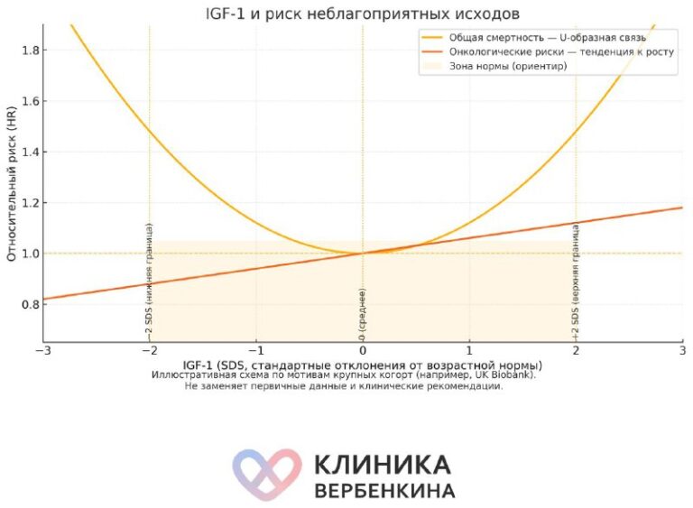 ИФР-1 и риск онкологии: почему баланс важнее высоких цифр