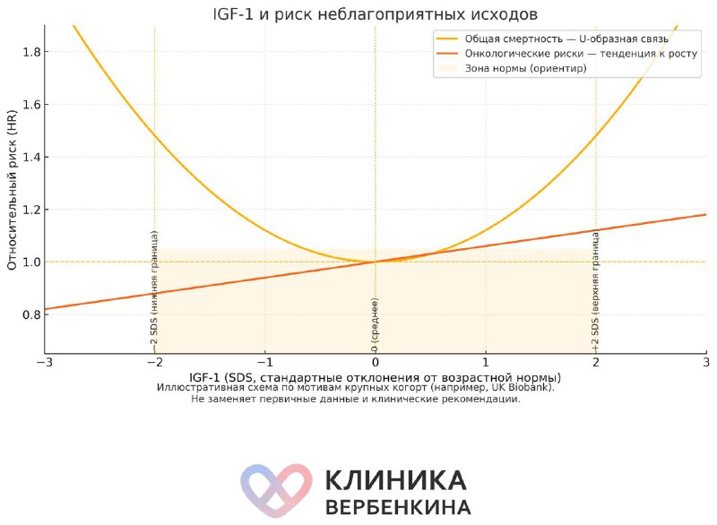 ИФР-1 и риск онкологии: почему баланс важнее высоких цифр