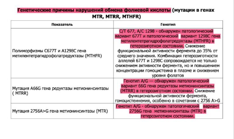 Высокий гомоцистеин при приеме витаминов группы B: почему не помогают добавки и что делать