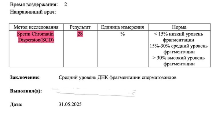 ДНК-фрагментация сперматозоидов: почему это важно учитывать при подготовке к зачатию