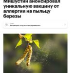 АСИТ терапия аллергия на березу: новые возможности и препарат Аллергарда