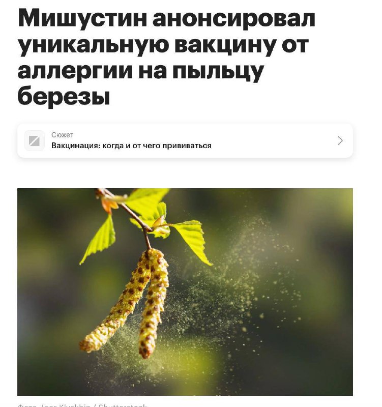 АСИТ терапия аллергия на березу: новые возможности и препарат Аллергарда