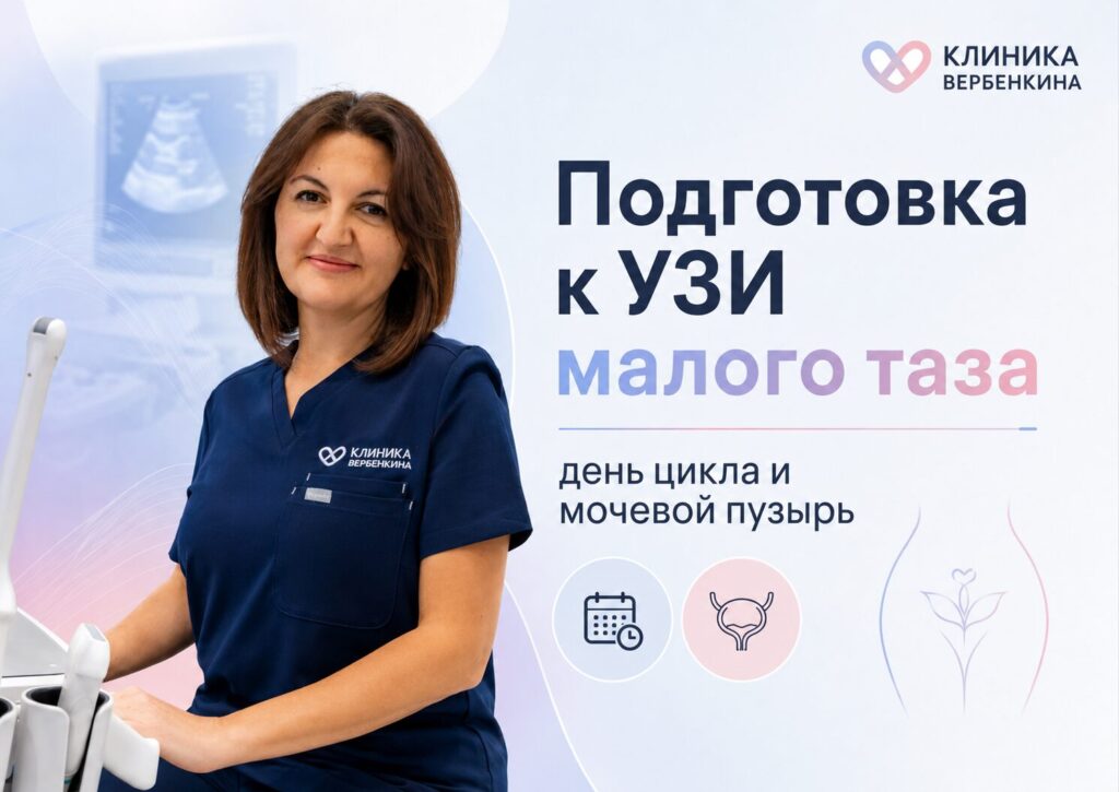 Как подготовиться к УЗИ малого таза: день цикла и пузырь
