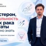 Тестостерон, фертильность и риск рака простаты: что важно знать